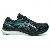 Кросівки для бігу чоловічі Asics GEL-KAYANO 29 Black/New Leaf